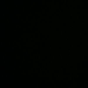 Meet your Posher, Alondra